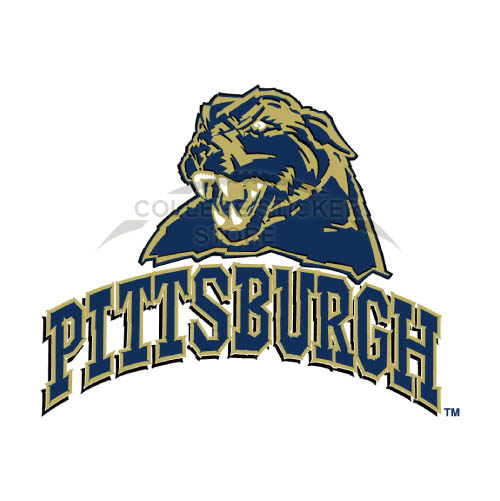 Homemade Pittsburgh Panthers Iron-on Transfers (Wall Stickers)NO.5895